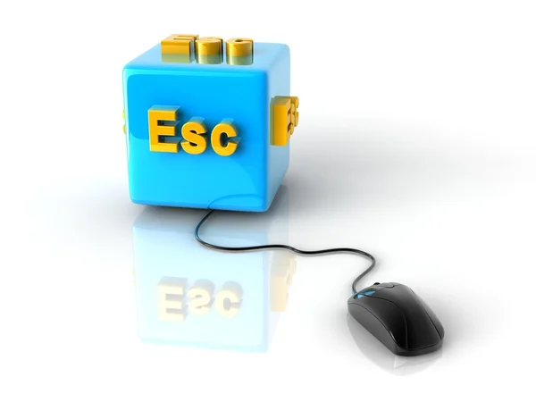 Computer key Esc — Stock Photo, Image