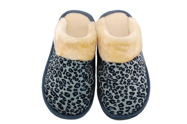 Winter slippers — Stock Photo, Image