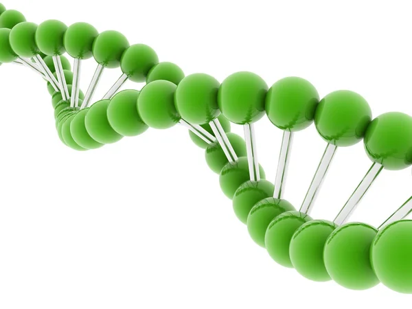 DNA Model — Stockfoto