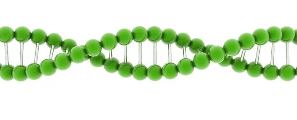 DNA Model — Stockfoto