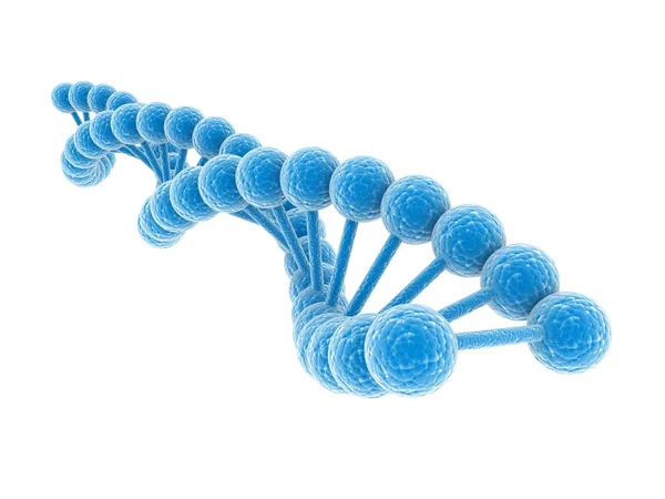 ДНК модель — стокове фото