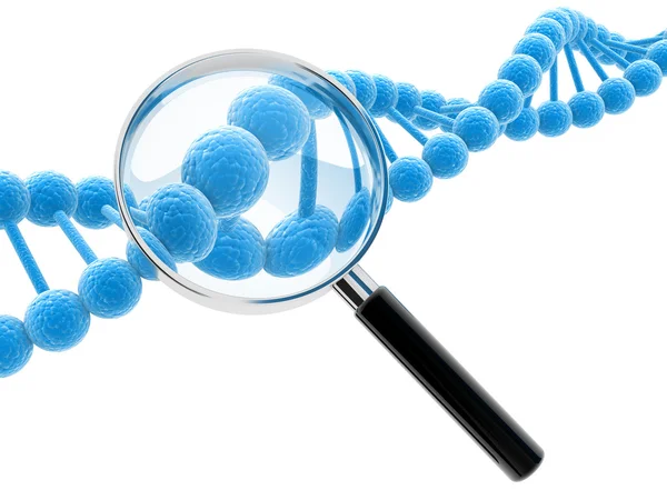 Dna model — Stock Photo, Image