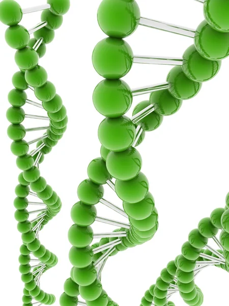 DNA Model — Stockfoto