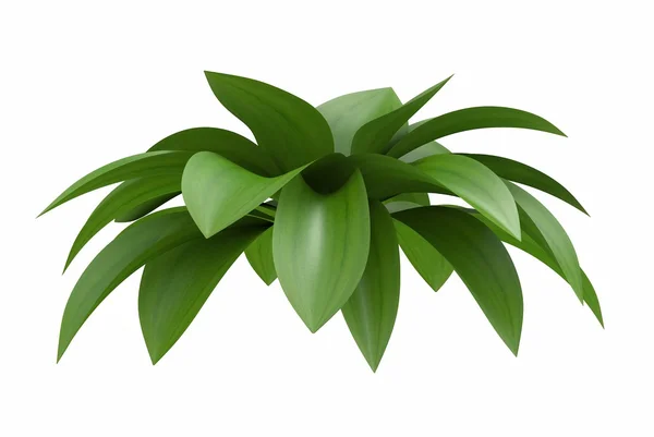 Plant bladeren — Stockfoto