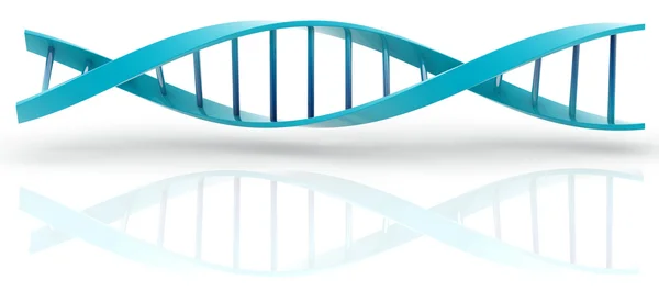 ДНК модель — стокове фото