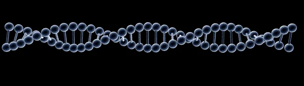 Μοντέλο του DNA — Φωτογραφία Αρχείου