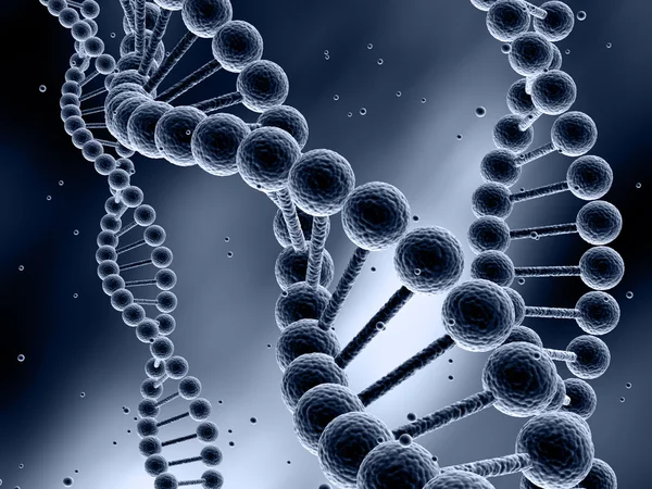 DNA Model — Stockfoto