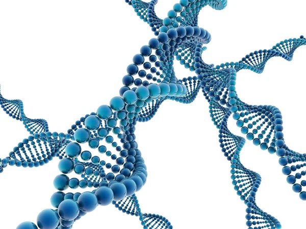 Modelo de ADN — Foto de Stock