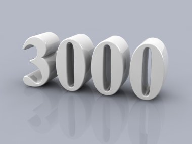 sayı 3000