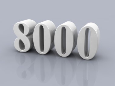 sayı 8000