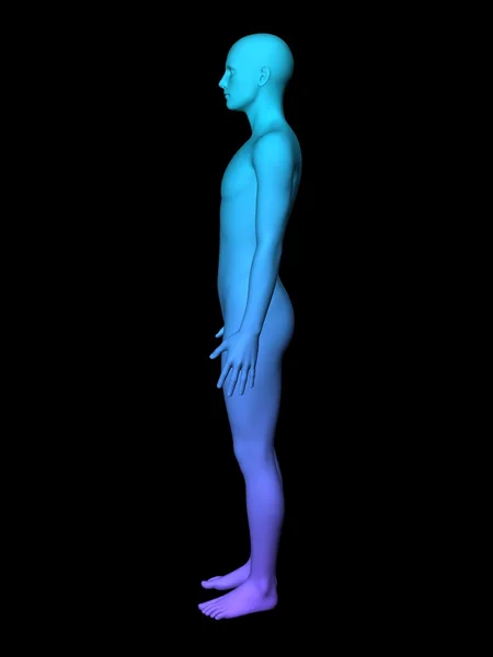 3D самец — стоковое фото
