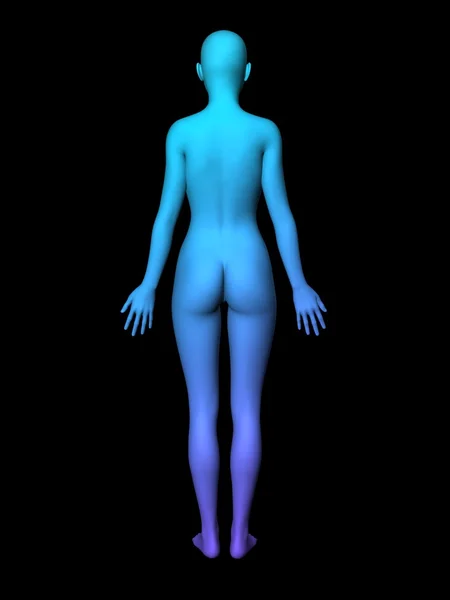 Kadın vücut — Stok fotoğraf