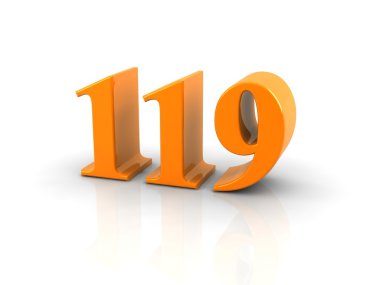 sayı 119