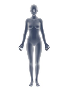 kadın vücut