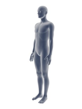 3D erkek