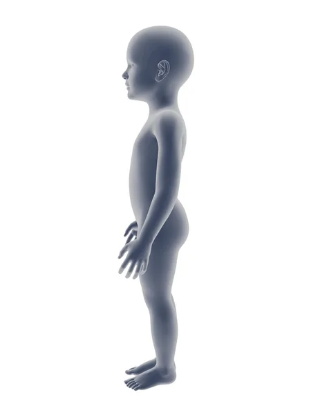 Babybody — Stockfoto