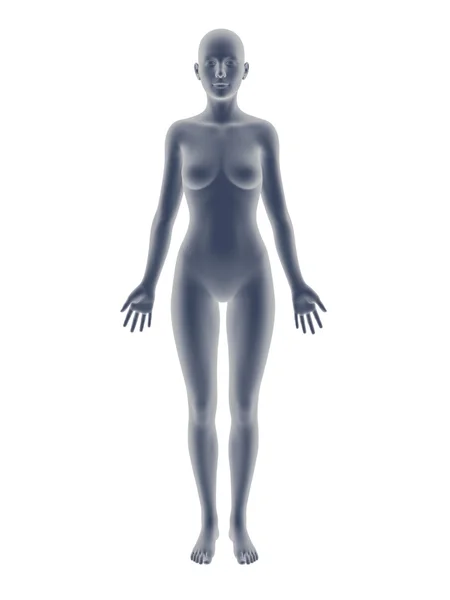 Corpo de mulher — Fotografia de Stock