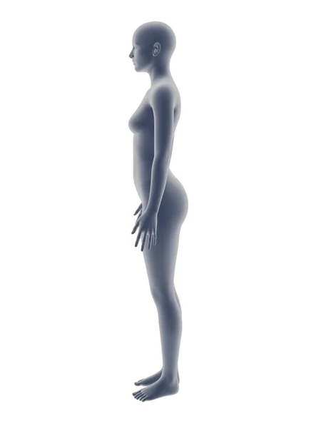 Žena tělo — Stock fotografie