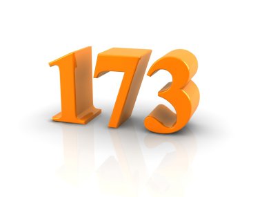 sayı 173