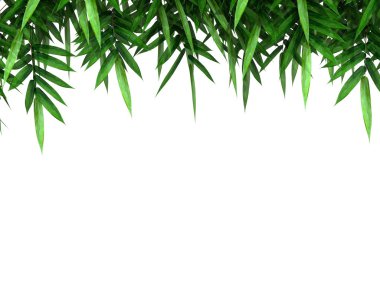 Yeşil Bambu şube