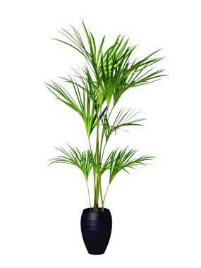 green potted plant clipart