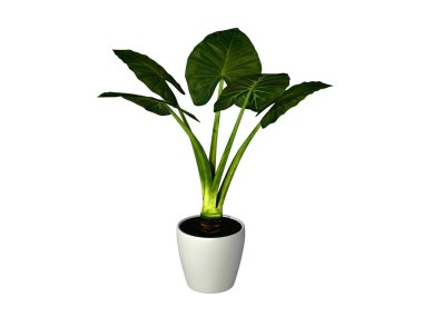 green potted plant clipart