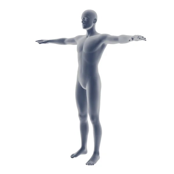 Cuerpo masculino gris sobre fondo blanco — Foto de Stock