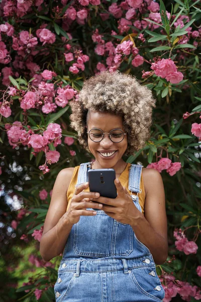 Afrikkalainen amerikkalainen viileä moderni nainen, joka käyttää älypuhelinta sosiaaliseen mediaan, jota ympäröivät vaaleanpunaiset ruusut puutarhassa — kuvapankkivalokuva