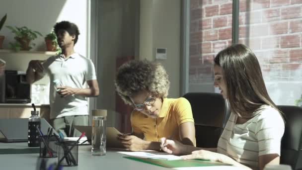 Colegas afro-americanas e caucasianas trabalhando juntas - Creative Multi Ethnic Business Team Discutindo Projeto em escritório moderno e elegante — Vídeo de Stock