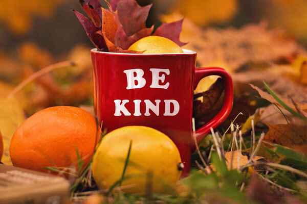 Words Be kind written on red mug. Selective focus and noise. Shallow depth of field on the mug