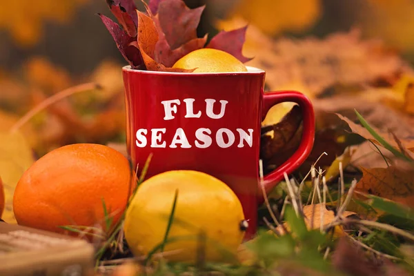 Words Flu Season Written Red Mug Selective Focus Noise Shallow — Stock Photo, Image