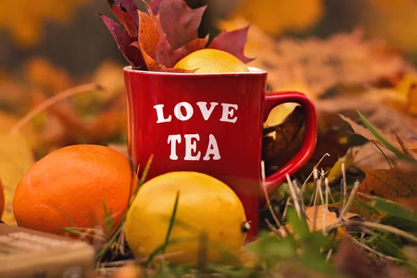 Worte Liebe Tee Auf Rotem Becher Geschrieben Selektive Fokussierung Und — Stockfoto