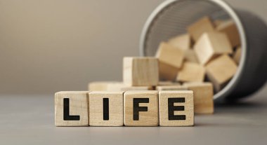 Yaşam: Tahta bloklardan kelime kavramı. Harfli tahta küpler.