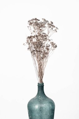 Closeup vase with dried flowers bouquet on white background. Modern home decor
