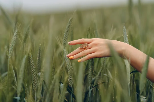 Zblízka Ruku Pšenicí Mladá Dívka Kráčí Poli Dotýká Pšenice Pozadí — Stock fotografie