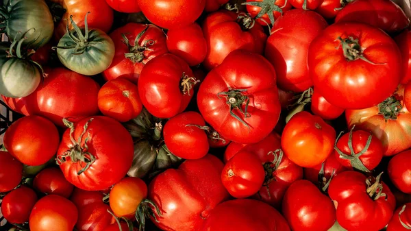 fresh organic tomatoes from market. Top view. Abstract background for design and project