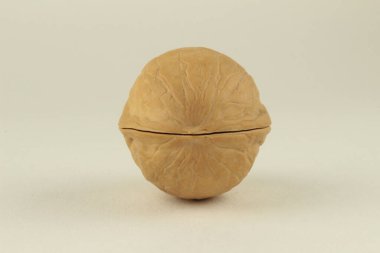 beyaz arkaplanda ceviz