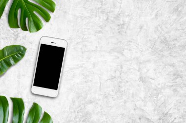 Boş ekranlı cep telefonu ve beyaz arka planda tropik yaprak canavarı. Üst görünüm, kopyala boşluk, düz uzanma