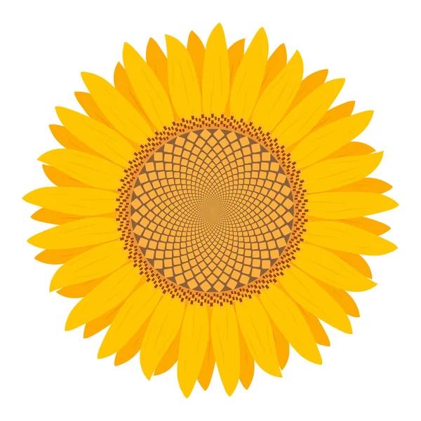 Sonnenblume Isoliert Auf Weißem Hintergrund Flacher Stil Illustrationsvektor — Stockvektor