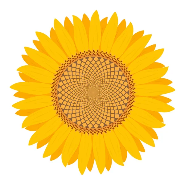 Tournesol Isolé Sur Fond Blanc Style Plat Vecteur Illustration — Image vectorielle