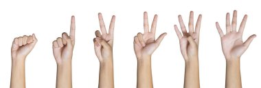 Kırpma yolu da dahil olmak üzere beyaz zemin üzerinde izole edilmiş 0 'dan 5' e kadar parmak izi sayan çocuk eli. İletişim jestleri kavramı