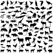 Картина, постер, плакат, фотообои "collection silhouettes of animals. vector illustration.", артикул 441494788