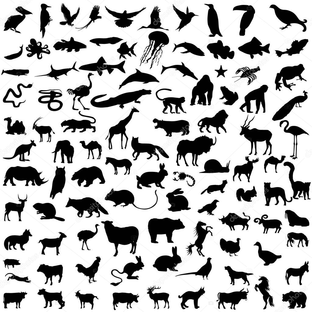 Collection silhouettes of animals. Vector illustration.