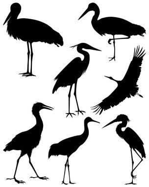 Collection silhouettes of birds. Set of black isolated silhouettes of birds. Set of stork. Vector illustration. clipart