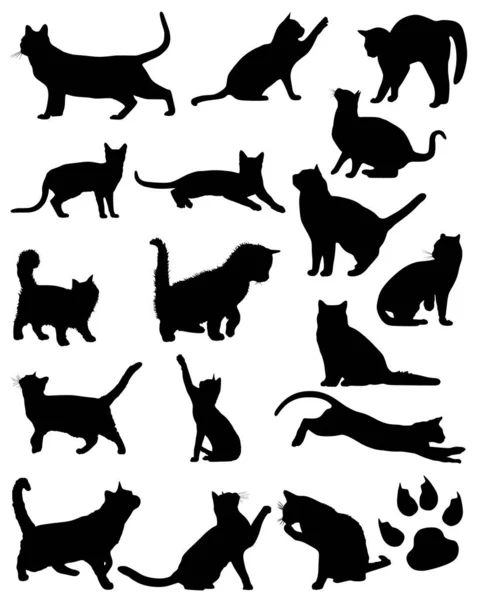 一组猫的矢量轮廓 收集家猫 黑猫猫的轮廓 病媒图解 — 图库矢量图片#