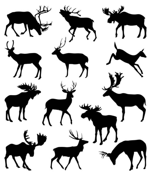 Collection of silhouettes of wild animals. Vector collection of deer silhouettes. Deer silhouette set.