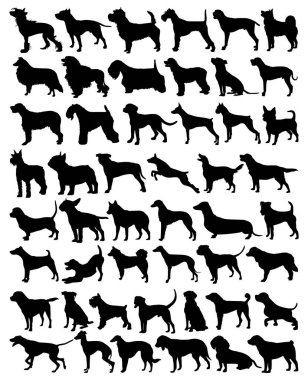 Köpek siluetleri koleksiyonu. Köpek siluetlerinin vektör koleksiyonu. Köpek silueti seti. Vektör illüstrasyonu.