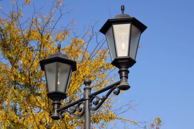 Sarı sonbahar ağacı ve mavi gökyüzünün arka planında siyah renkli fener, sonbahar konsepti..