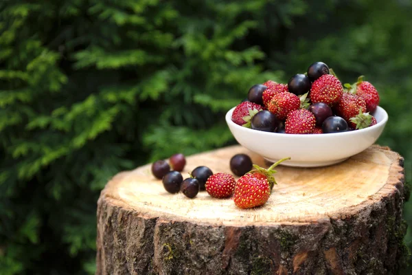 Frische Erdbeeren und schwarze Johannisbeeren in der Natur — Stockfoto