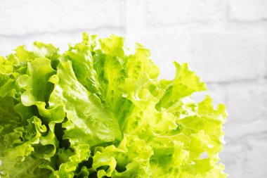 Yeşil taze marul yaprakları, yakın plan. Doğal doku arkaplanı